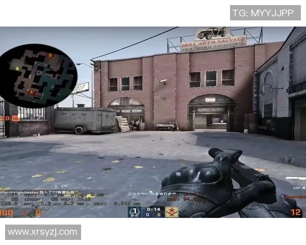 王丽专访:从新手到高手的CSGO成长之路与心路历程分享